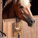 Porte-laisse en bois avec visage de cheval peint sur mesure