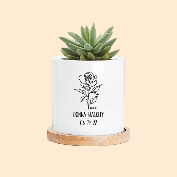 Maceta suculenta personalizada con flor de nacimiento Nuevo bebé y regalo para amantes de las plantas