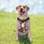 Spersonalizowana oddychająca siatkowa kamizelka dla psa ze sztucznej skóry bydlęcej