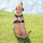 Spersonalizowana oddychająca siatkowa kamizelka dla psa ze sztucznej skóry bydlęcej
