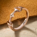 Gepersonaliseerde Snaffle Bit Horse Ring voor paard Hippische Lover Gift