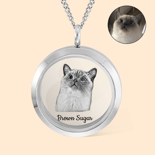Personalized Pet Fur Keepsake Necklace with Portrait Memorial Jewelry Pet Loss Gift for Her