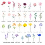Personalized 1-16 Family Watercolour Flowers Horizontal Frameless Canvas Painting with Name Mother's Day Birthday Gift for Family