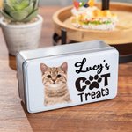 Boîte de rangement en métal personnalisée pour les friandises du chien et du chat