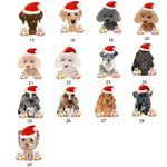 Personalized Metal Christmas Dog Food Treat Tin Christmas Pet Gifts