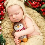 Personalised First Merry Christmas Penguin Plushies Gift