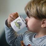 Personalisierte Emaille Dinosaurier Camping Mug Geschenk für Jungen und Mädchen