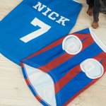 Gepersonaliseerde Naam Nummer Hond Gedrukt Jersey-T-shirt Cadeau voor Hondenliefhebbers