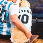 Gepersonaliseerde Naam Nummer Hond Gedrukt Jersey-T-shirt Cadeau voor Hondenliefhebbers