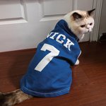 Gepersonaliseerde Naam Nummer Hond Gedrukt Jersey-T-shirt Cadeau voor Hondenliefhebbers
