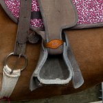 Personalized 2 Pcs Cowhide Leather Saddle Stirrup Hobbles with Glittering Monogram Name Birthday Horse Riding Gift for Horse Lovers