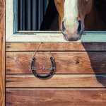 Personalisierte Hufeisen Wand hängende Dekoration Geschenk für Pferdeliebhaber