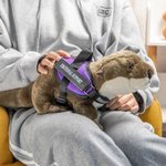 Emotional Support Otter Plush Soft Stuffed Animal Personalized Name Companionship Gift for Family Friend