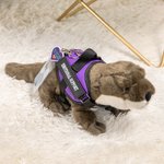 Emotional Support Otter Plush Soft Stuffed Animal Personalized Name Companionship Gift for Family Friend