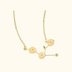 Collier Personnalisé avec Signe Astrologique et Fleurs de Naissance Cadeau Anniversaire Fête des Mères pour Femme