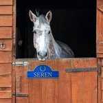 Panneau de porte personnalisé en PLA 3D Cheval