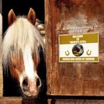 Plaque d'identification de box pour chevaux personnalisée Cadeau pour les amoureux des chevaux
