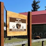 Plaque d'identification de box pour chevaux personnalisée Cadeau pour les amoureux des chevaux