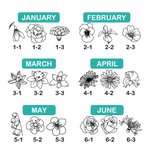 Bouquet de fleurs de naissance tatoué à l'épreuve de l'eau et personnalisé avec nom Lot de 15 cadeaux de fête Cadeau de fête des mères pour elle