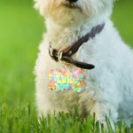 Personnalisé Flowers Love Heart Pet Tag Dog Tag Cat Tag Resin Iridescent Sequins Pet ID