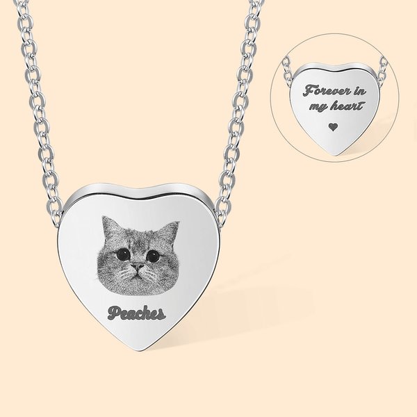 Personalizado Retrato Corazón Cremación Urna Collar para cenizas Cremación Joyería con Paw Print