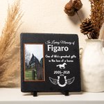 Pietra commemorativa personalizzata del giardino del cavallo Pietra della perdita dell'animale domestico