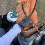 Sac de transport isolé pour bouteille d'eau de selle de cheval personnalisé à poches multiples Essentiel pour les activités de plein air Convient à un