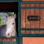 Personalized Retro Wooden Stable Horse Door Engraving Name Plates with Pattern Housewarming Gift for Horse Lovers