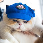 Personalized 2 Pieces Matching Pet and Owner Baseball Cap Sport Hats for Outdoor Sports Dog Dad and Dog Mom Gift