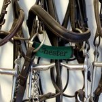 Personalized Horse Bit Cover with Name Horse Utensils Horse Bridle Warmer Birthday Gift for Horse Lover Equestrian