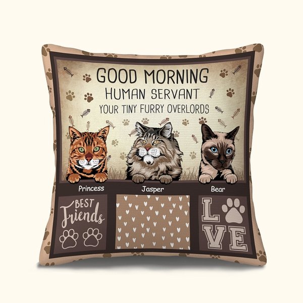 Personalised Good Morning Human Servant Your Tiny Furry Overlords Throw Pillow Cover for Cat Lovers Sofa Couch Bed Decor