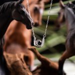 Personalised Micro-carved Projection Picture Horseshoe Diamond Sterling Silver Necklace Gift for Woman Birthday Anniversary