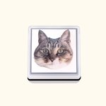 Timbri personalizzati con ritratto di animale domestico Gatti Cani Uccelli Pappagalli Timbri animali Timbri a inchiostro per animali Regalo per gli am