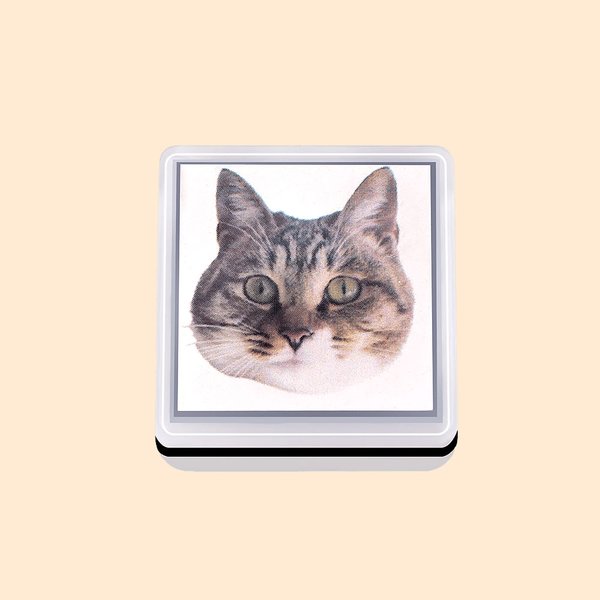 Timbri personalizzati con ritratto di animale domestico Gatti Cani Uccelli Pappagalli Timbri animali Timbri a inchiostro per animali Regalo per gli am