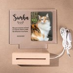 Henkilökohtainen lemmikkieläinten valokuvamuistomerkki LED-yövalo puupohjalla Pet Loss Sympathy Gift for Pet Lovers