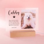 Henkilökohtainen lemmikkieläinten valokuvamuistomerkki LED-yövalo puupohjalla Pet Loss Sympathy Gift for Pet Lovers