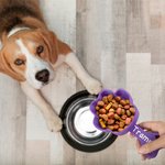 Personalized Paw Shape Dog Food Measuring Cup Scoop 3D Printed Pet Feeding Accessory Gift for Pet Lover Owner