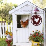 Personalised Wall Art Chicken Coop Farm Coop Metal Sign with Name and Date Farmhouse Decor Gift for Farmer Farm Owner