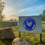 Personalised Wall Art Chicken Coop Farm Coop Metal Sign with Name and Date Farmhouse Decor Gift for Farmer Farm Owner