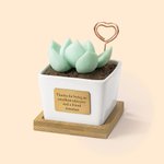 Personalized Artificial Succulent Potted Plant Essential Oil Diffuser Teacher Gift Mom Gift Plant Killer Gift Decor for Desk Office Shelf Bedroom