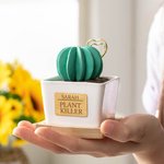 Personalized Artificial Succulent Potted Plant Essential Oil Diffuser Teacher Gift Mom Gift Plant Killer Gift Decor for Desk Office Shelf Bedroom