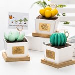 Personalized Artificial Succulent Potted Plant Essential Oil Diffuser Teacher Gift Mom Gift Plant Killer Gift Decor for Desk Office Shelf Bedroom