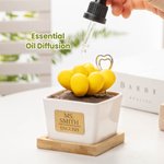 Personalized Artificial Succulent Potted Plant Essential Oil Diffuser Teacher Gift Mom Gift Plant Killer Gift Decor for Desk Office Shelf Bedroom