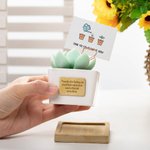 Personalized Artificial Succulent Potted Plant Essential Oil Diffuser Teacher Gift Mom Gift Plant Killer Gift Decor for Desk Office Shelf Bedroom