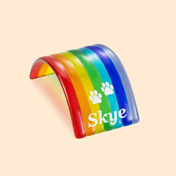 Personalized Pet Memorial Rainbow Bridge with Pawprint and Name Home Decoration Pet Loss Gift for Dog and Cat