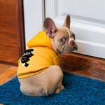 Gepersonaliseerde hond en eigenaar Matching Hoodie Multicolor Love Pattern Outfit Pet Sweat Shirt Pet Supplies Dog Lover Gift