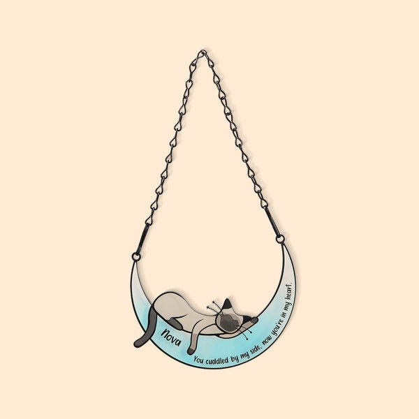 Gepersonaliseerde acryl kat op de maan ramen Hangt huisdier benodigdheden Suncatcher met zuignap Gift voor liefhebbers van huisdieren