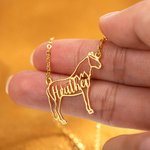 Collier avec Prénom Personnalisé Profil Cheval Bijoux Commémoratifs d'Animaux Cadeau pour Amoureux des Chevaux