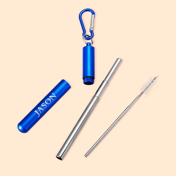 Personalized Reusable Drinking Straw Collapsible Telescopic Stainless Steel Straw with Brush Portable Keychain Birthday Gift for Environmentalist