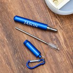 Personalized Reusable Drinking Straw Collapsible Telescopic Stainless Steel Straw with Brush Portable Keychain Birthday Gift for Environmentalist